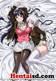 Kurosaki Ageha y Sumiyoi Sakura, son dos alumnas que provienen de familias bastante peculiares. Ambas fueron transferidas a la misma escuela de Mamoru, y además las dos están perdidamente enamoradas de él... ¿A quién elegirá Mamoru?