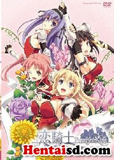 Elcia y Kaname son dos jóvenes que se conocieron desde pequeños debido a un accidente, ambos deciden convertirse en caballeros...En su futuro eso desemboca incontables sentimientos del uno hacia el otro. ¿Cómo terminaran las cosas con está pareja, que retos tendrán que sobre llevar?