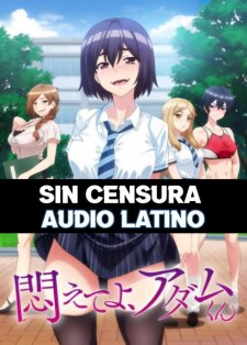 hentai online Modaete yo Adam kun Audio Latino sub español